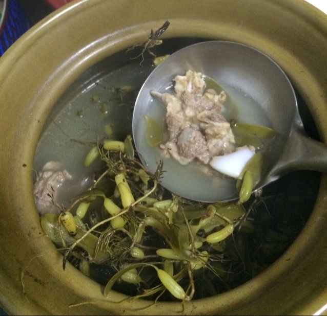 石橄欖草煲龍骨湯