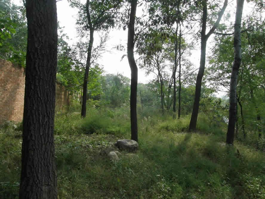 白土窯村(山西平魯區陶村鄉下轄村)