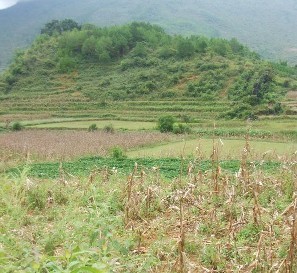 村內自然山地