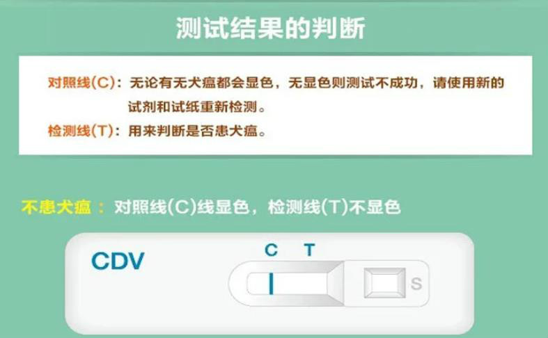 CDV試紙說明：對照線C+檢測線T+樣品孔S