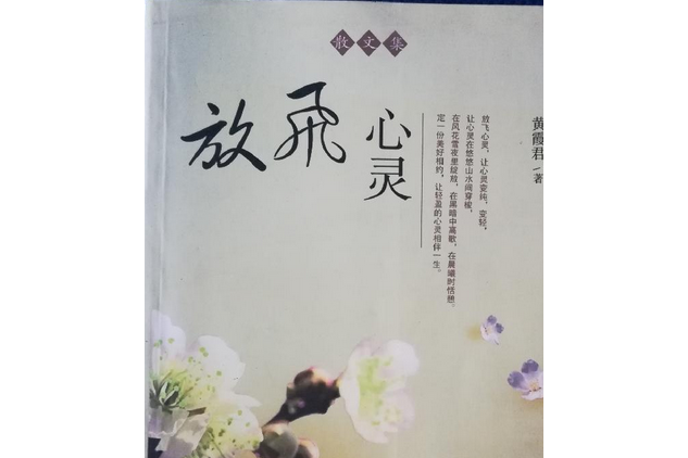 放飛心靈(2008年百花文藝出版社出版的圖書)