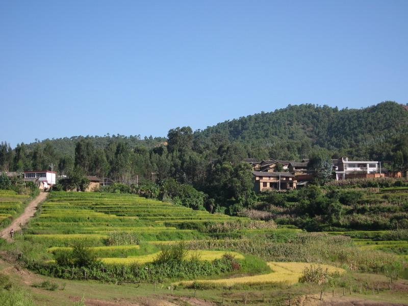 高家莊村(楚雄市蒼嶺鎮蒼嶺村委會下轄村)