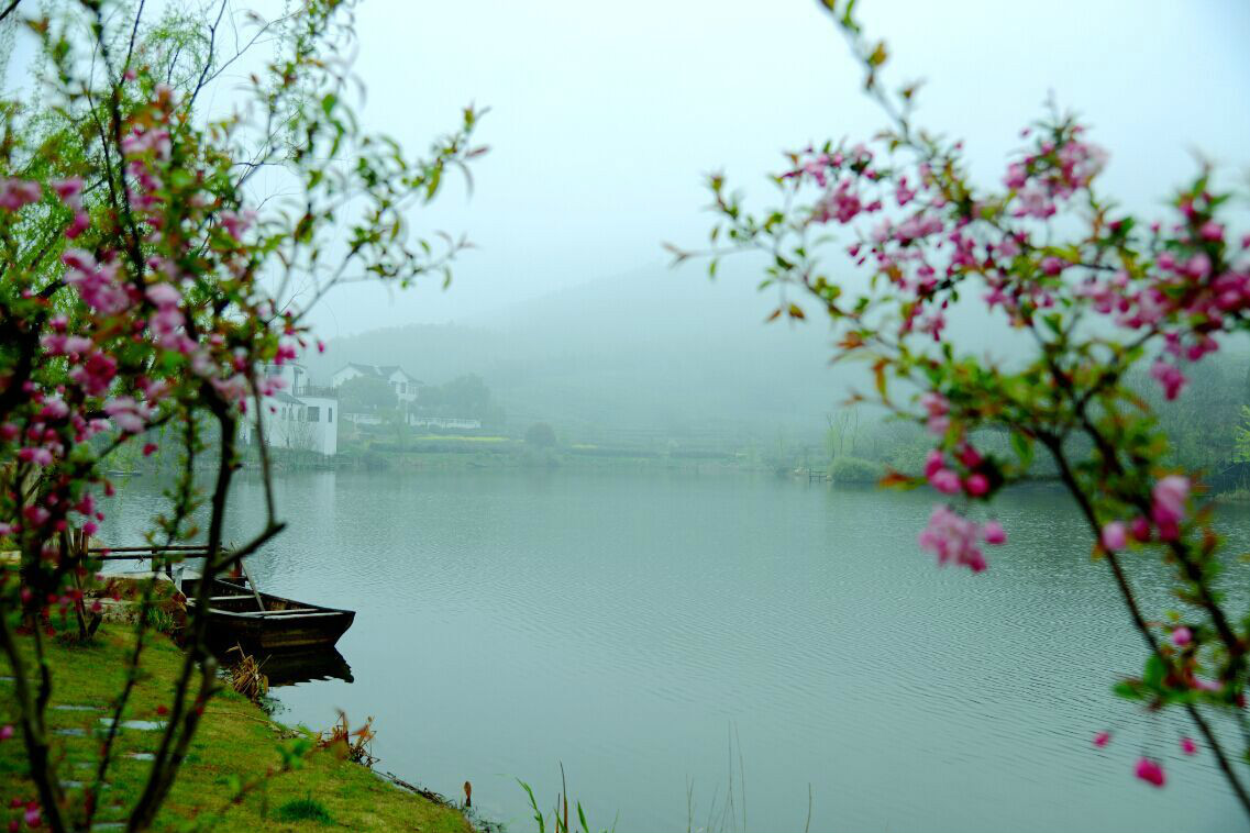 黃龍峴茶文化村