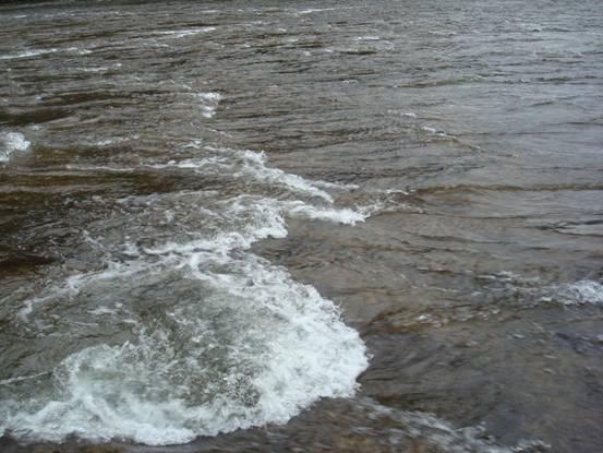 浩浩湯湯