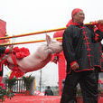 年豬文化節