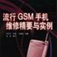 流行GSM手機維修精要與實例