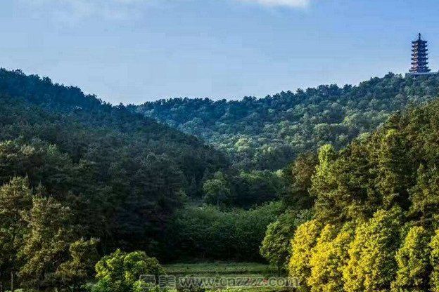 信陽十里崗森林公園