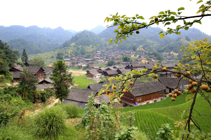 三都村(江西省上饒市廣豐縣豐溪街道三都村)