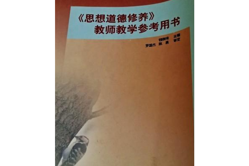 《思想道德修養》教師教學參考用書(2004年高等教育出版社出版的圖書)