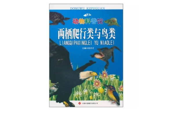 兩棲爬行類與鳥類(動物科普館：兩棲爬行類與鳥類)