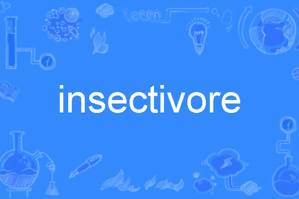 insectivore