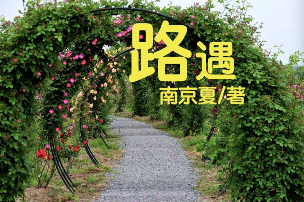 路遇(南京夏著網路小說)