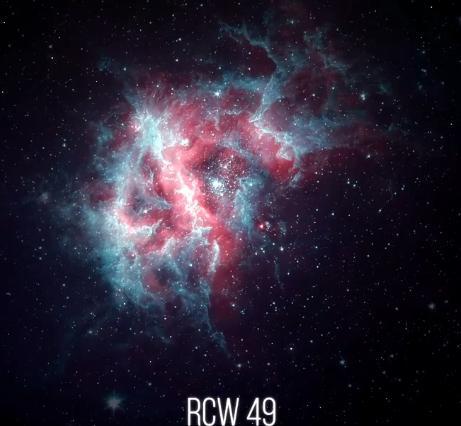 RCW49