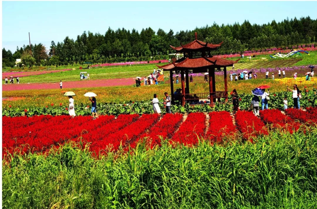 黑龍江達勒國家森林公園