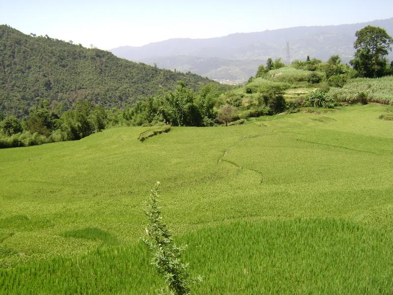 麻栗山村