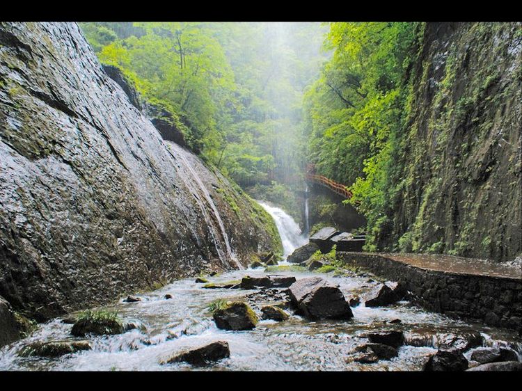 河南雞公山植物園