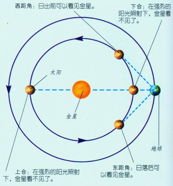 金星西大距