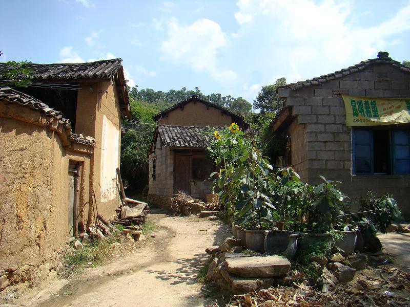 長官司二自然村村內道路