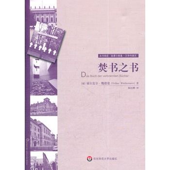 焚書之書(2011年華東師範大學出版社出版的圖書)