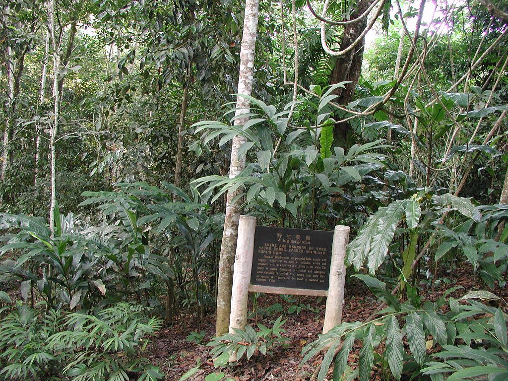 中國科學院西雙版納熱帶植物園