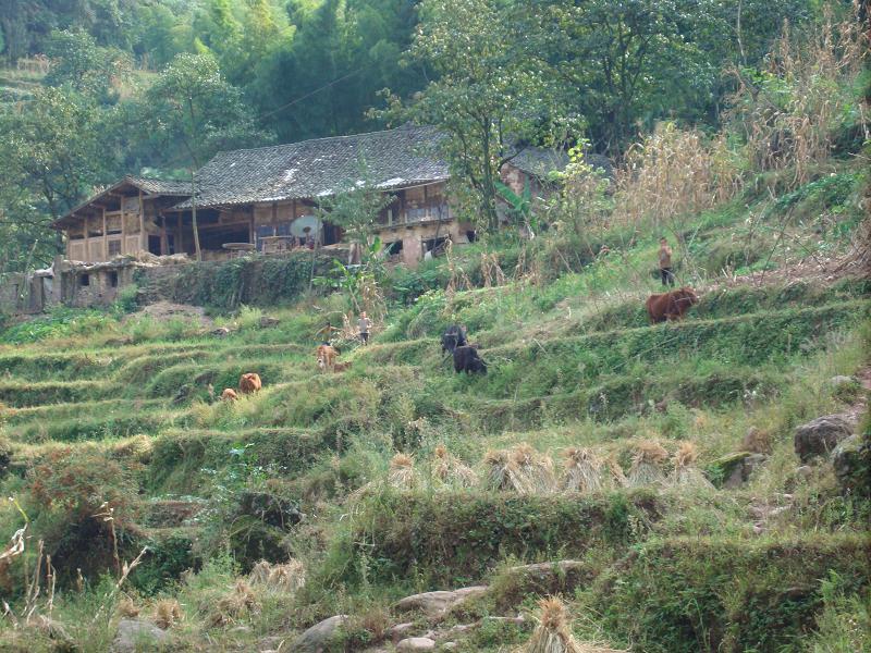 馬家溝自然村(雲南昭通永善縣團結鄉蘇田村委馬家溝自然村)