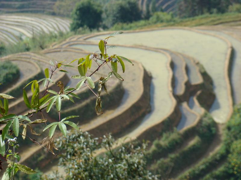 折洞下寨村