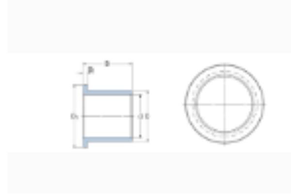 SKF PBG202321.5F軸承