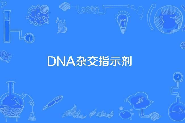 DNA雜交指示劑