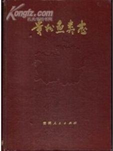 圖書封面