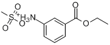3-氨基苯甲酸乙酯甲基磺酸鹽
