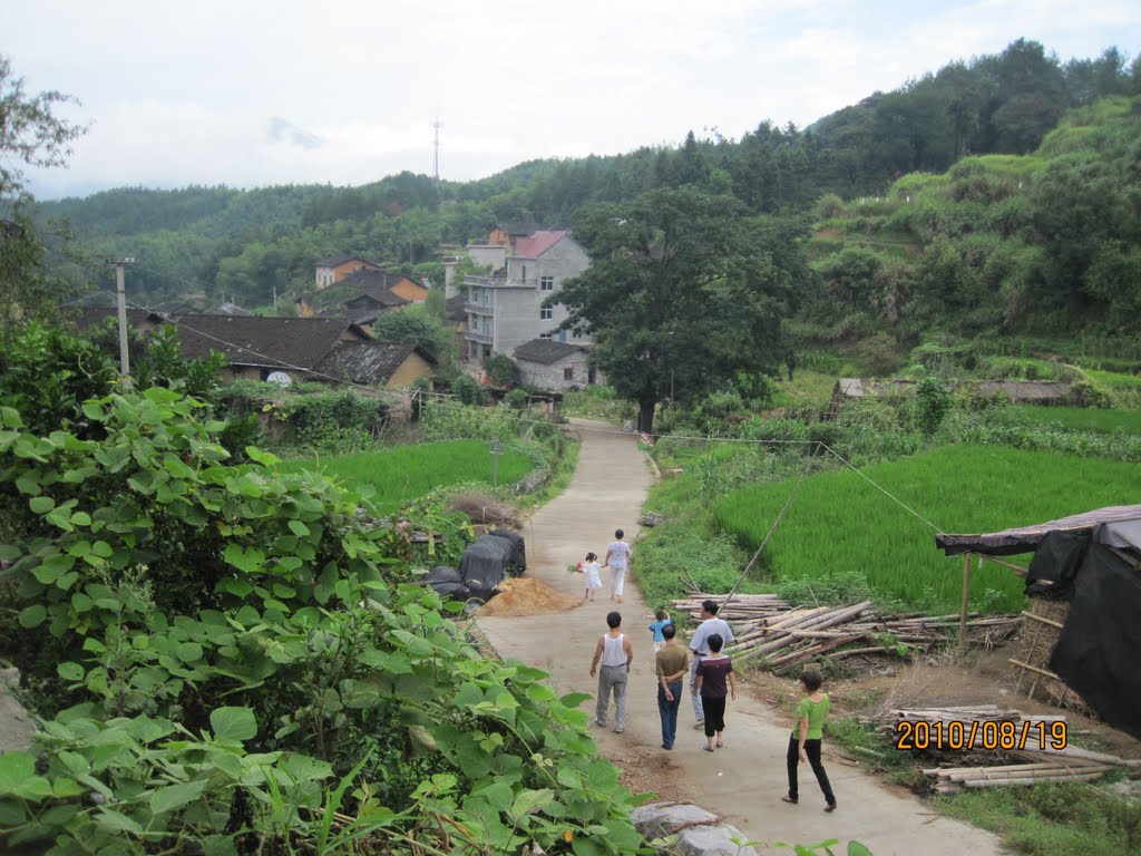 高坑村(浙江省衢州市開化縣蘇莊鎮下轄村)