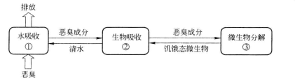 葉綠素脫臭