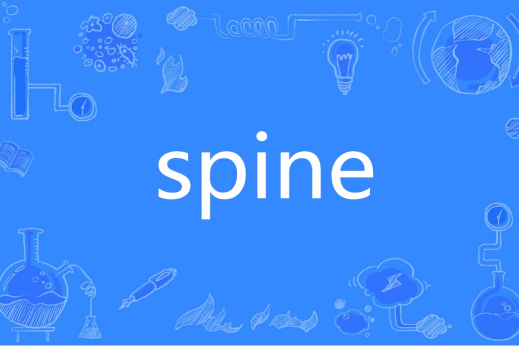 Spine(英語單詞)