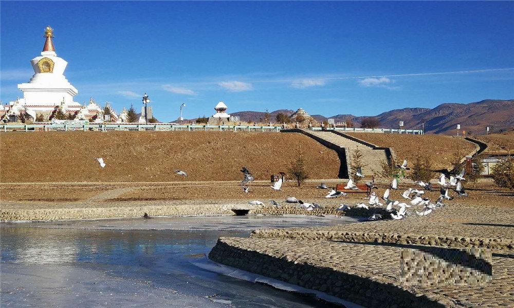 稻城金珠濕地公園