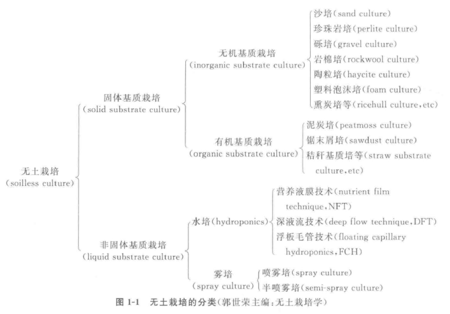 無土栽培(農業種植方式)