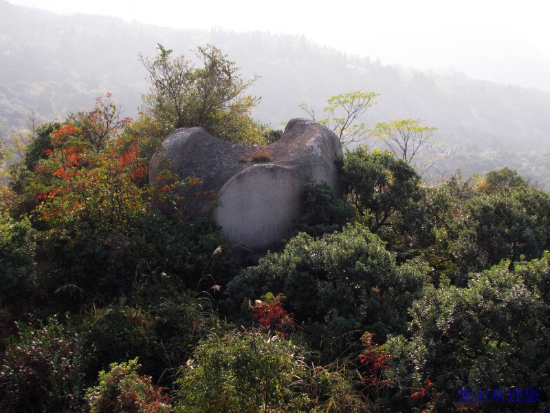 羅勝村