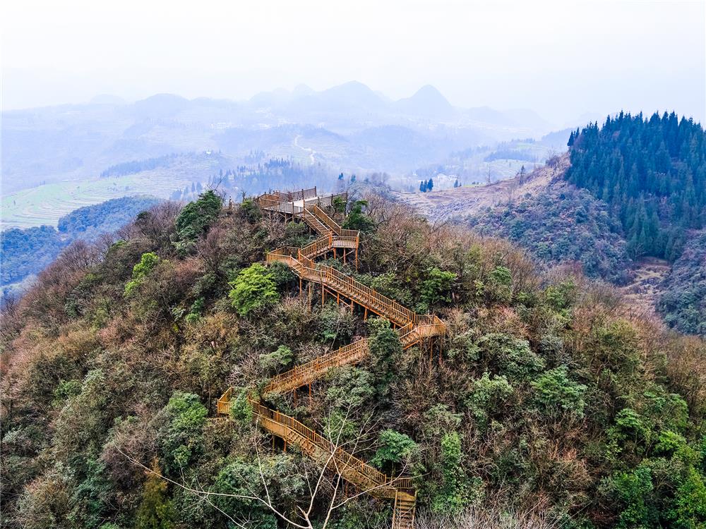 高興村(貴州省六枝特區梭戛苗彝回族鄉下轄行政村)