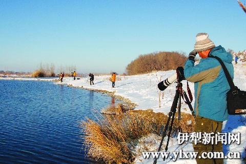 天鵝泉濕地公園