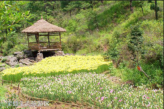 寶鼎生態旅遊區