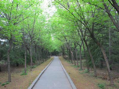 周山森林公園