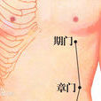 期門(關於穴位)
