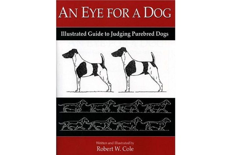 An Eye for a Dog