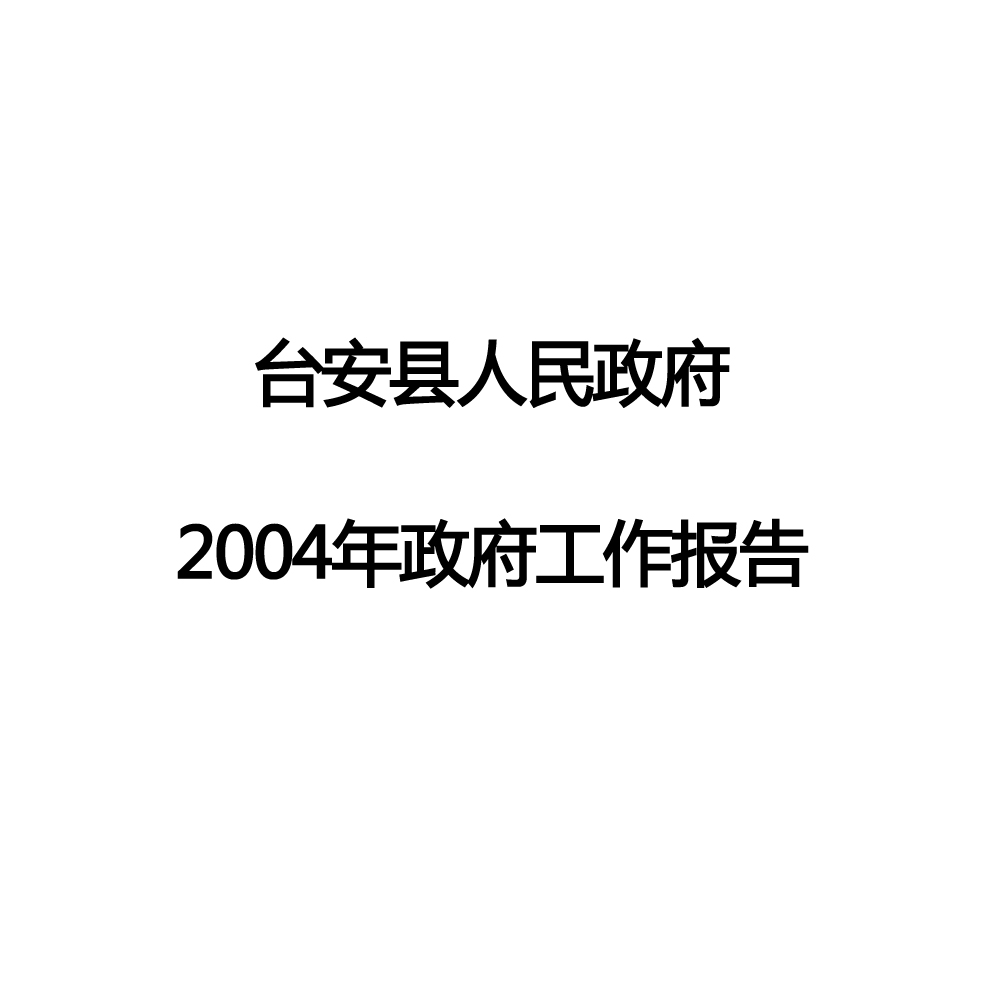 2004年台安縣政府工作報告