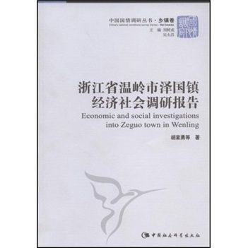 浙江省溫嶺市澤國鎮經濟社會調研報告