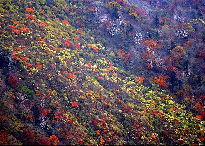 山林風景