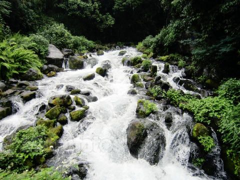 騰衝黑魚河