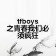 tfboys之青春我們必須瘋狂