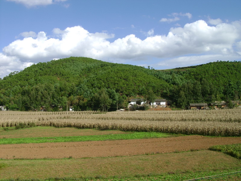 白石岩村