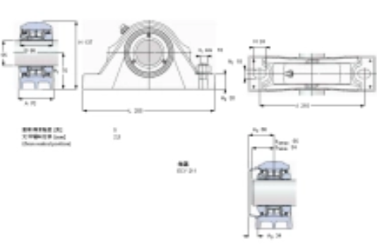 SKF SYNT55LTS軸承