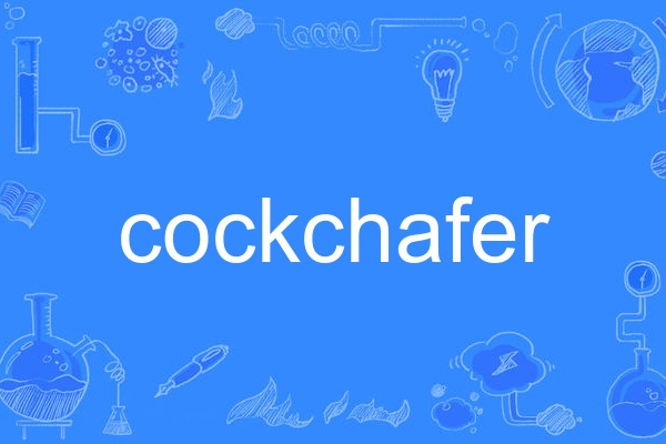 cockchafer